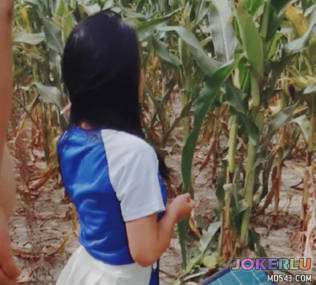  去姥姥家给收玉米在地里与女儿野战姥姥贴心的给准备了垫子